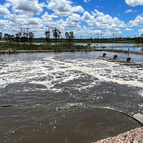 Surface aeration in the aeration basin of an activated sludge plant.