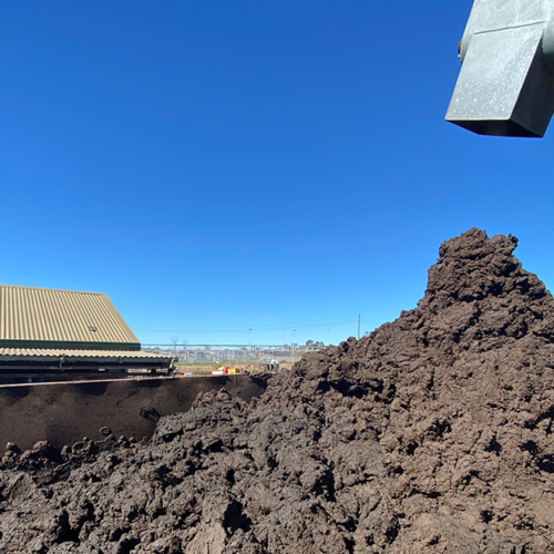 Dewatered waste activated sludge from an SBR produced by a Huber screw press.