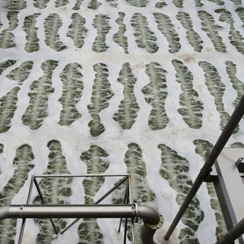 Testing of Aerostrip diffusers in an SBR tank.