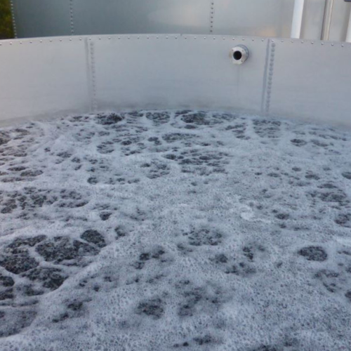 A  MBBR is an ideal biological process for the treatment of dairy wastewater
