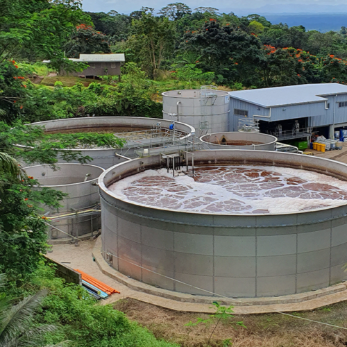 D&C of a DAF and biological system at a food processing plant in Fiji
