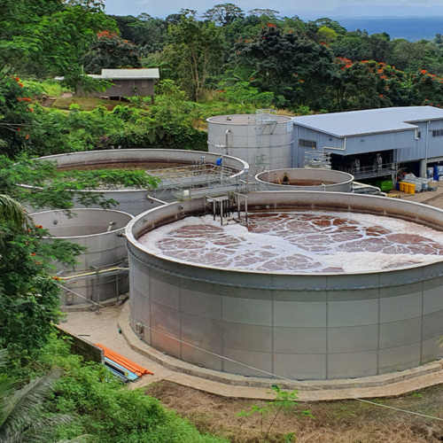 D&C of a DAF and biological system at a food processing plant in Fiji
