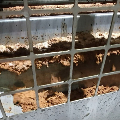 Sludge being scraped off a DAF system operating at a primary poultry processing plant
